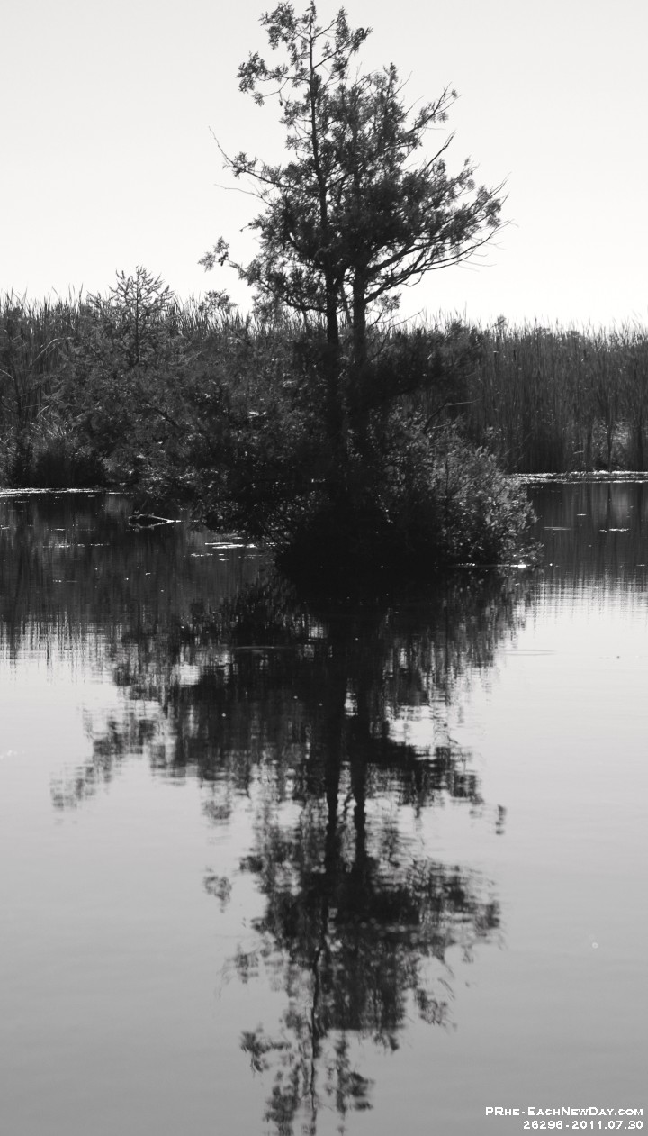 26296RoCrBwSaLe - Vacationing at the cottage - Kayaking to The Marsh with Beth - Andy